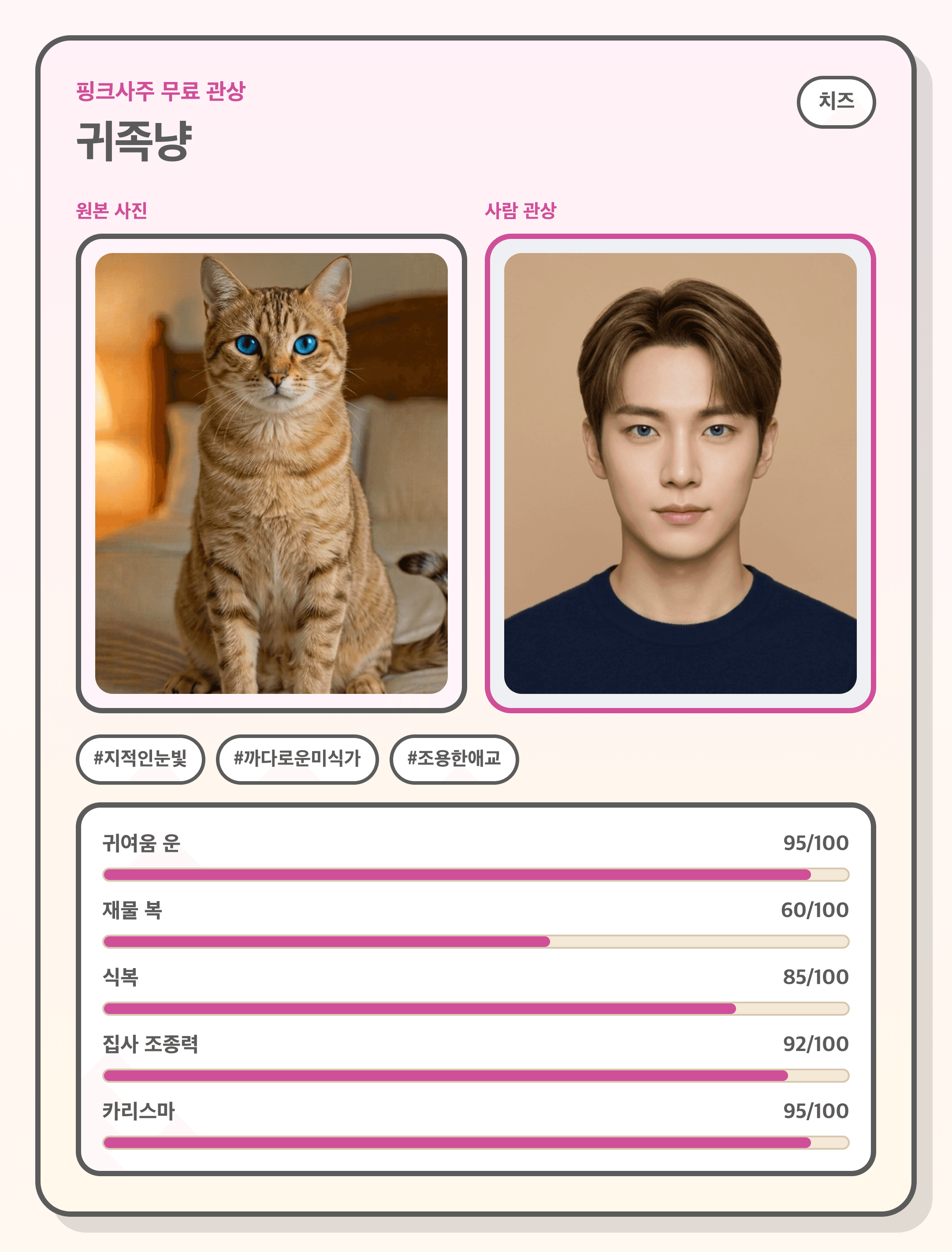 무료 반려동물 관상 결과 예시 카드 1