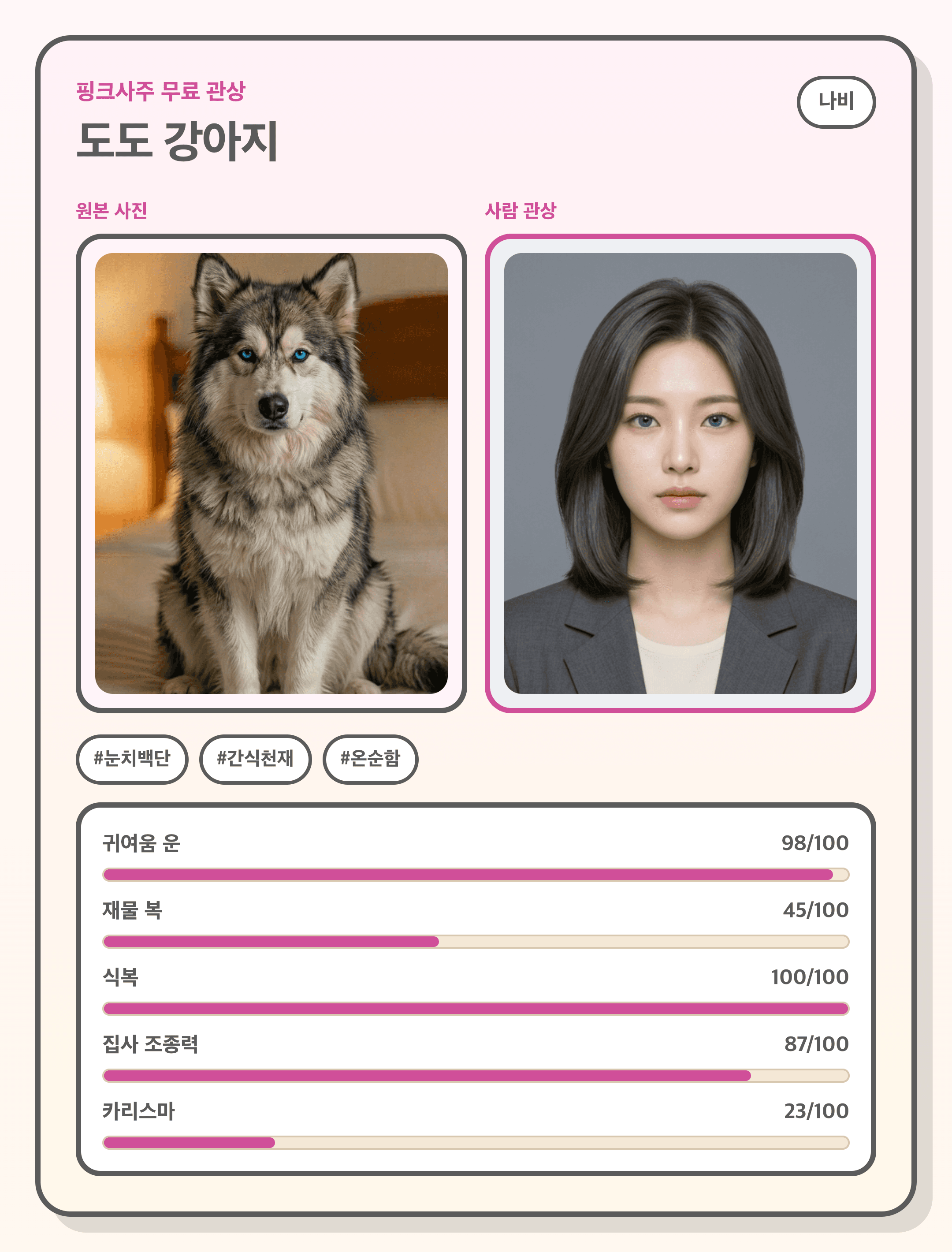 무료 반려동물 관상 결과 예시 카드 2